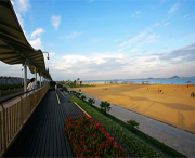 金山天气预报60天