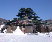 牡丹江天气预报