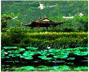 蔡甸天气预报