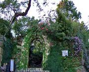 临安天气预报60天