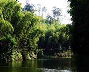 长宁天气预报60天